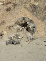 10.03.2025: Moeraki Boulders &ndash; &copy; Anne Fohlert (Eberhardt TRAVEL)