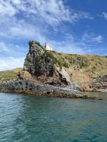 10.03.2025: Naturkundschaftliche Bootstour auf der Otago Halbinsel &ndash; &copy; Anne Fohlert (Eberhardt TRAVEL)