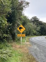 15.03.2025: Kiwi Schild &ndash; &copy; Anne Fohlert (Eberhardt TRAVEL)
