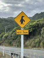 16.03.2025: Achtung Pinguine &ndash; &copy; Anne Fohlert (Eberhardt TRAVEL)