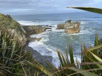 16.03.2025: Pancake Rocks &ndash; &copy; Anne Fohlert (Eberhardt TRAVEL)