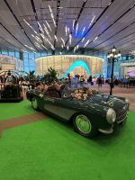 17.03.2025: Zwischenlandung in Singapur Flughafen Changi &ndash; &copy; Anne Fohlert (Eberhardt TRAVEL)