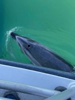 Bay of islands &ndash; &copy; Monika Cortese (Eberhardt TRAVEL)
