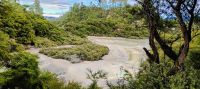 Thermalgebiet Wai-O-Tapu &ndash; &copy; Monika Cortese (Eberhardt TRAVEL)