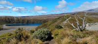 Lower Tama Lake  &ndash; &copy; Monika Cortese (Eberhardt TRAVEL)