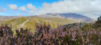 Wanderung zu den Tama Lakes &ndash; &copy; Monika Cortese (Eberhardt TRAVEL)