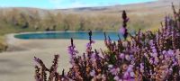 Lower Tama Lake  &ndash; &copy; Monika Cortese (Eberhardt TRAVEL)