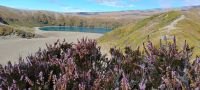 Lower Tama Lake  &ndash; &copy; Monika Cortese (Eberhardt TRAVEL)