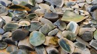 Jade &ndash; &copy; Monika Cortese (Eberhardt TRAVEL)