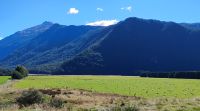 So viele Schafe! &ndash; &copy; Monika Cortese (Eberhardt TRAVEL)