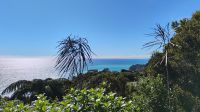 Knights Point  &ndash; &copy; Monika Cortese (Eberhardt TRAVEL)