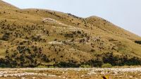 Schafe, Schafe, Schafe... &ndash; &copy; Monika Cortese (Eberhardt TRAVEL)