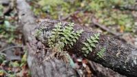 Kepler Track &ndash; &copy; Monika Cortese (Eberhardt TRAVEL)