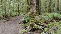 Kepler Track &ndash; &copy; Monika Cortese (Eberhardt TRAVEL)
