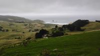 Highcliff Road, Dunedin  &ndash; &copy; Monika Cortese (Eberhardt TRAVEL)