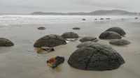 Moeraki Boulder &ndash; &copy; Monika Cortese (Eberhardt TRAVEL)