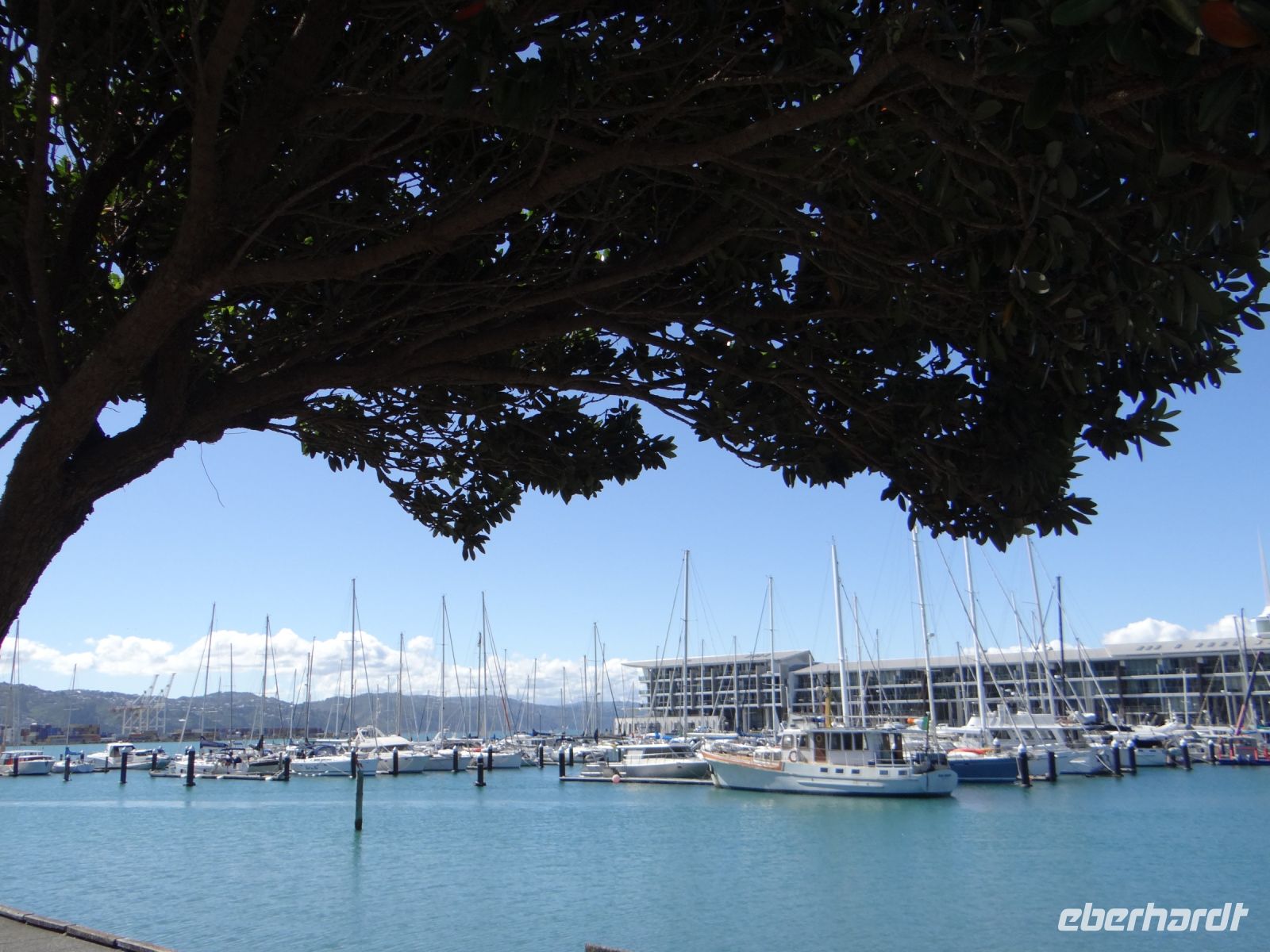 Wellington, anstatt ins Auto vor der Haustür geht es gleich aufs Boot. &ndash; &copy; Vivian Kreft (Eberhardt TRAVEL)