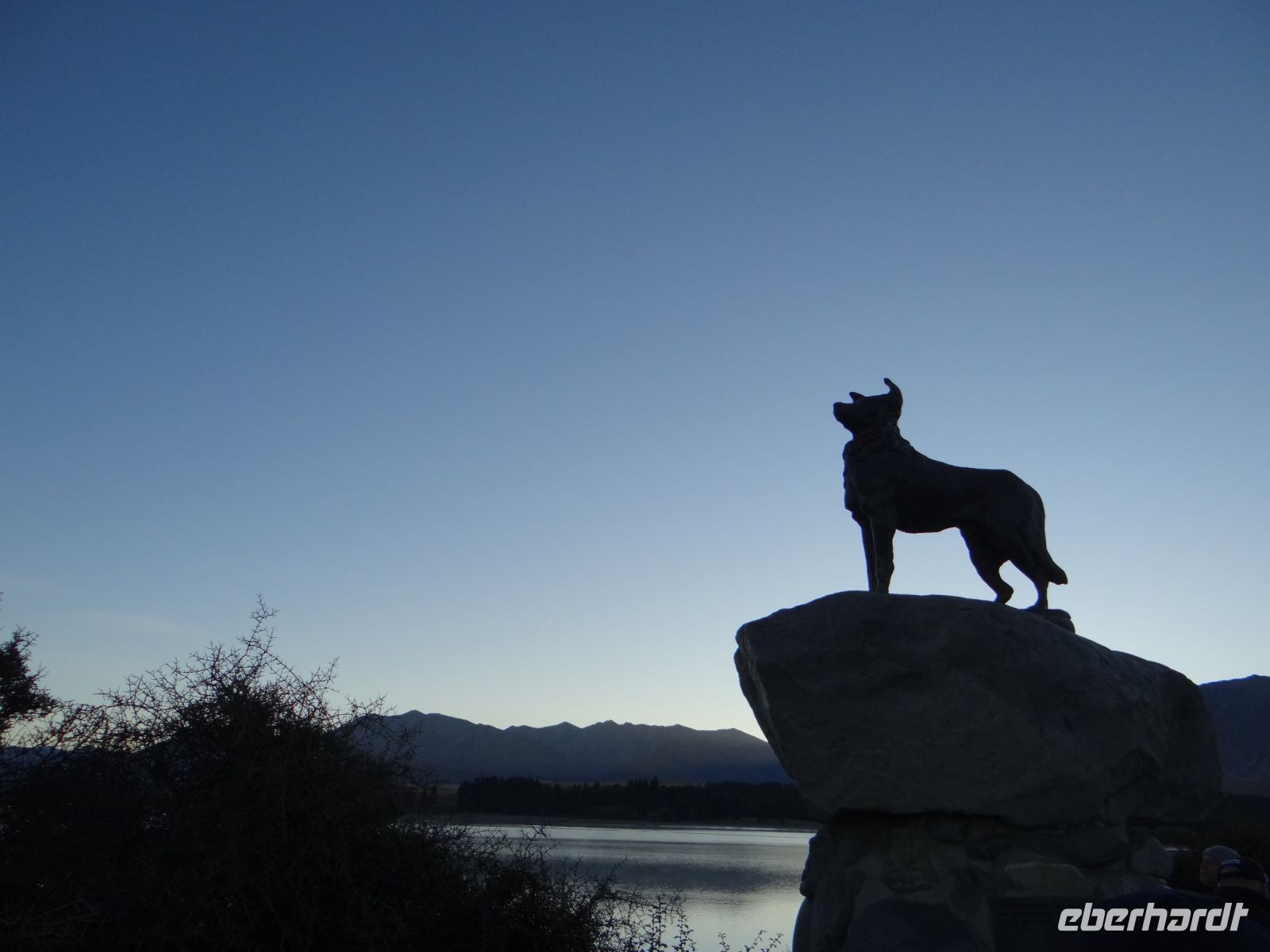 Lake Tekapo, Denkmal für die Hütehunde an der Kirche zum Guten Hirten &ndash; &copy; Vivian Kreft (Eberhardt TRAVEL)