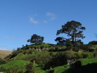 Hobbiton Movie Set, ein Dörfchen, in die Landschaft gefügt &ndash; &copy; Vivian Kreft (Eberhardt TRAVEL)