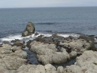 Ein Robbenparadies &ndash; &copy; Vivian Kreft (Eberhardt TRAVEL)