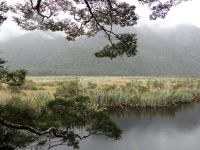 Eglinton Valley, Mirror Lake &ndash; &copy; Vivian Kreft (Eberhardt TRAVEL)