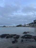 Paihia