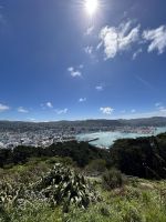 Mount Victoria Wellington