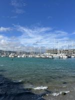 Hafen Wellington