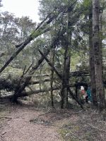 Kepler Track