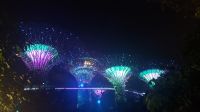 Große Rundreise Neuseeland: Die Lichtershow im Gardens by the Bay in Singapur.  &ndash; &copy; Martina Wegener (Eberhardt TRAVEL)