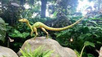 Große Rundreise Neuseeland: Die Cloud Forest Ausstellung in Singapur. 