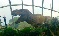 Große Rundreise Neuseeland: Die Cloud Forest Ausstellung in Singapur.  &ndash; &copy; Martina Wegener (Eberhardt TRAVEL)