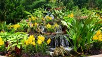 Große Rundreise Neuseeland: Botanischer Garten in Singapur.  &ndash; &copy; Martina Wegener (Eberhardt TRAVEL)