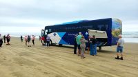 Große Rundreise Neuseeland: Ninety Mile Beach. &ndash; &copy; Martina Wegener (Eberhardt TRAVEL)