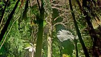 Große Rundreise Neuseeland: Maori Dorf. &ndash; &copy; Martina Wegener (Eberhardt TRAVEL)