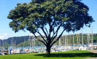 Große Rundreise Neuseeland: Stadtrundfahrt in Wellington.  &ndash; &copy; Martina Wegener (Eberhardt TRAVEL)