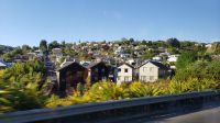 Große Rundreise Neuseeland: Dunedin Stadtrundfahrt.  &ndash; &copy; Martina Wegener (Eberhardt TRAVEL)