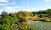 Große Rundreise Neuseeland: Landschaft bei Kakahu. &ndash; &copy; Martina Wegener (Eberhardt TRAVEL)