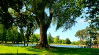 Große Rundreise Neuseeland: Christchurch, Botanischer Garten.  &ndash; &copy; Martina Wegener (Eberhardt TRAVEL)