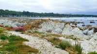 Große Rundreise Neuseeland: Kaikoura Küste. &ndash; &copy; Martina Wegener (Eberhardt TRAVEL)
