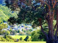 Große Rundreise Neuseeland: Wellington.  &ndash; &copy; Martina Wegener (Eberhardt TRAVEL)