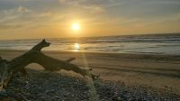 Große Neuseeland Rundreise: Sonnenuntergang in Greymouth am Strand.  &ndash; &copy; Martina Wegener (Eberhardt TRAVEL)