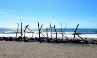 Große Neuseeland Rundreise: Ortsschild Hokitika aus Treibholz.  &ndash; &copy; Martina Wegener (Eberhardt TRAVEL)