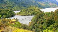 Große Neuseeland Rundreise: Tal des Franz Josef Gletschers.  &ndash; &copy; Martina Wegener (Eberhardt TRAVEL)