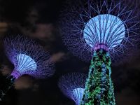 Supertrees Singapore  &ndash; &copy; Heike Jack (Eberhardt TRAVEL)