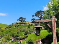 Hobbiton  &ndash; &copy; Heike Jack (Eberhardt TRAVEL)