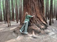 Redwood Forest  &ndash; &copy; Heike Jack (Eberhardt TRAVEL)