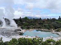 Te Puia  &ndash; &copy; Heike Jack (Eberhardt TRAVEL)