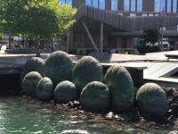 Wellington  &ndash; &copy; Heike Jack (Eberhardt TRAVEL)