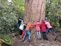 The biggest Tree &ndash; &copy; Heike Jack (Eberhardt TRAVEL)